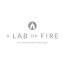 A LAB ON FIRE