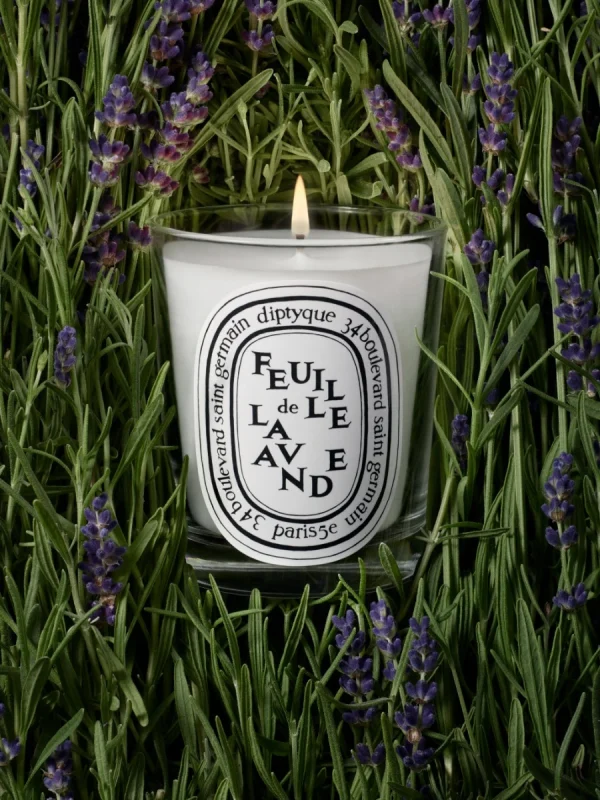 DIPTYQUE - Feuille de Lavande (Foglie di lavanda) Candela classica - immagine 2