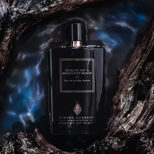 SIMONE ANDREOLI - Ocean of a Midnight Edp - immagine 2