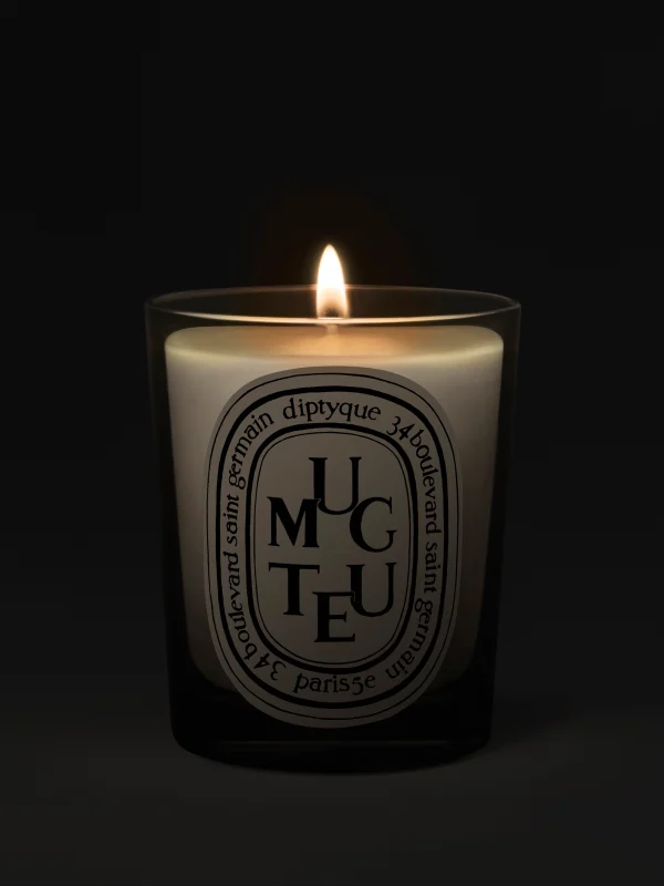 DIPTYQUE - Muguet (Mughetto) Candela classica 190GR - immagine 3