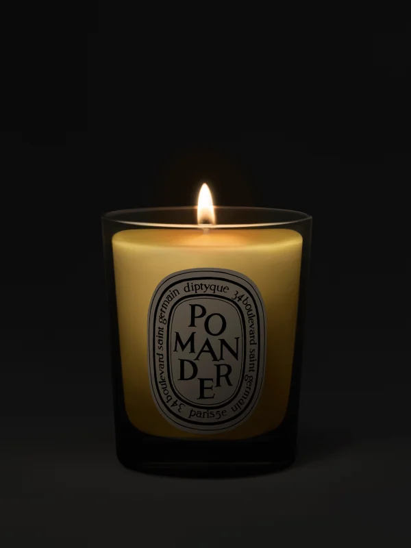 DIPTYQUE - Pomander - Candela  classica 190GR - immagine 2