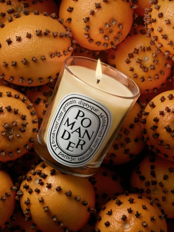 DIPTYQUE - Pomander - Candela  classica 190GR - immagine 3