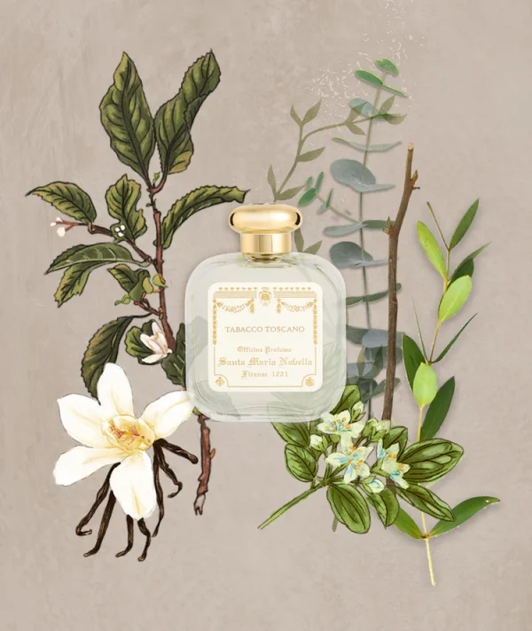 SANTA MARIA NOVELLA - Tabacco Toscano - Eau de Cologne - immagine 2