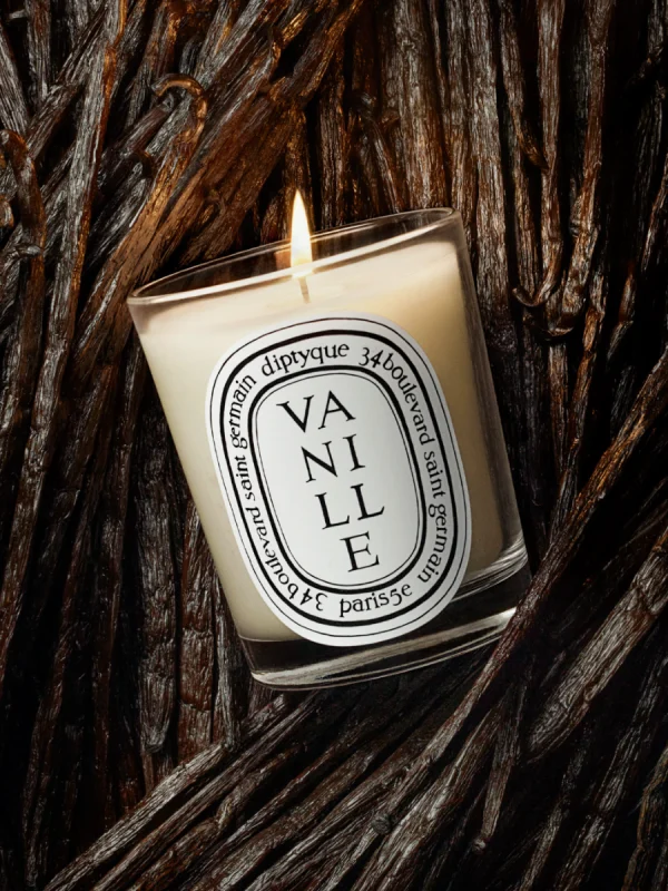 DIPTYQUE - Vanille (Vaniglia) - Candela classica 190GR - immagine 3