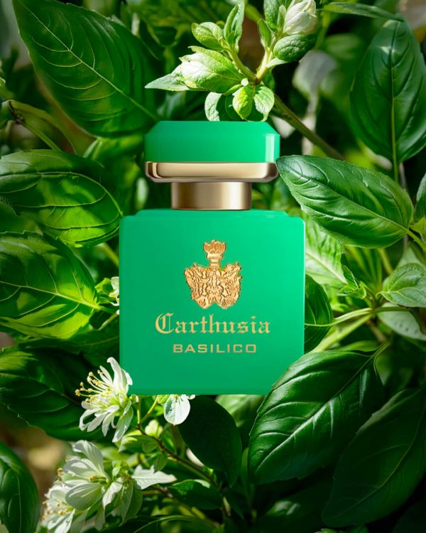 CARTHUSIA - Intenso di Basilico - immagine 3