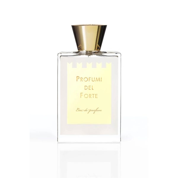 PROFUMI DEL FORTE - Versilia Vintage Ambra Mediterranea
